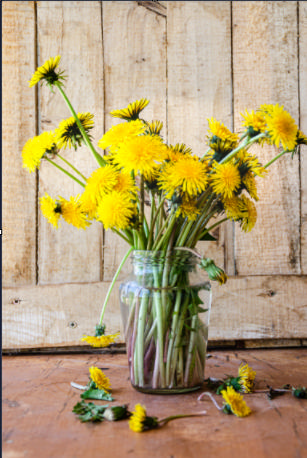 Heads Up: An Enjoyable Pro-Life Saturday Event